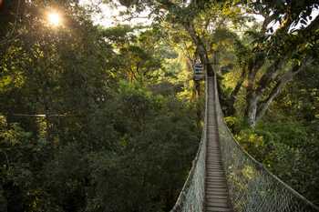 Inkaterra Hacienda Concepcion Tambopata